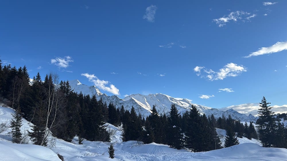 Compagnie des guides de Chamonix, photo 2