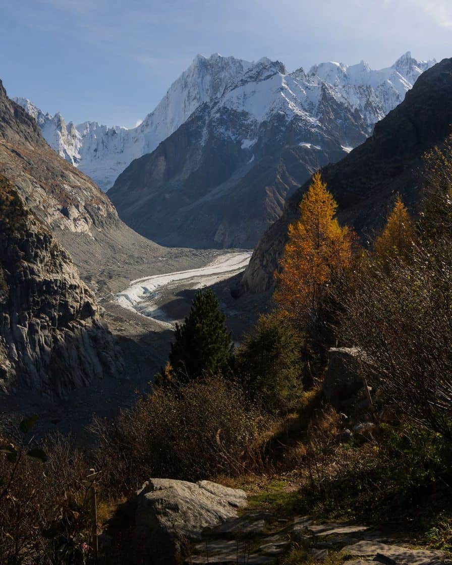 La Mer de Glace vue du Montenvers, langue de glace grise entre ses versants et mélèzes d'automne