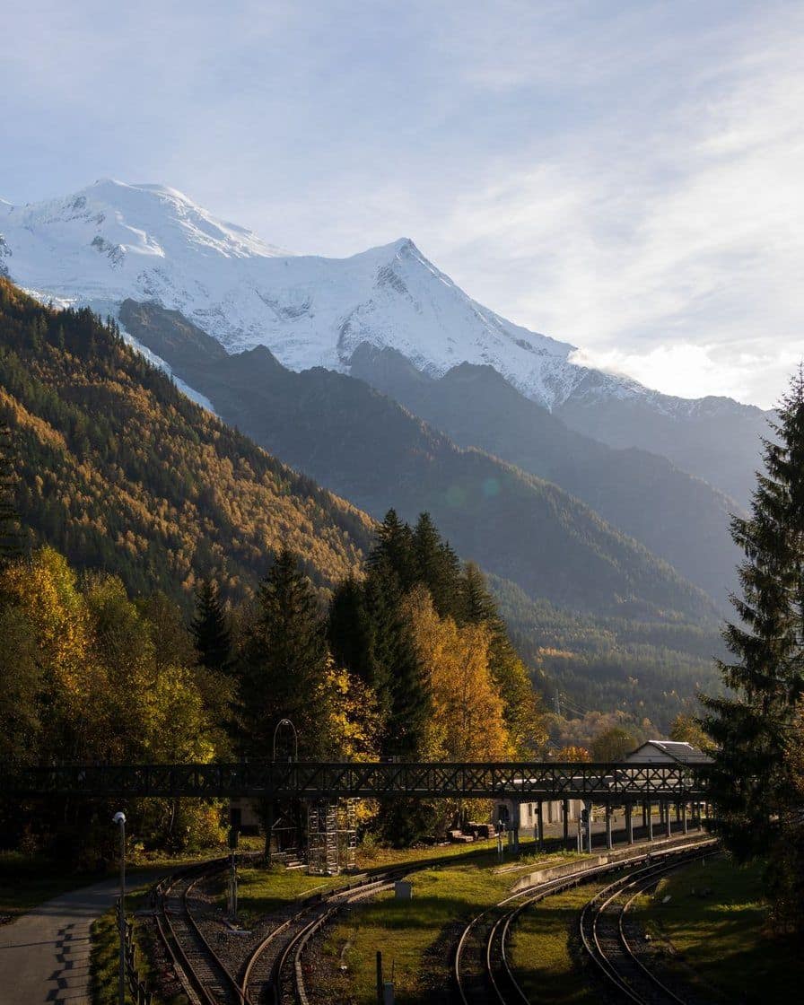 Voies du Mont-Blanc Express au fond de la vallée de Chamonix en automne, mélèzes dorés et dôme enneigé du Mont-Blanc au-dessus